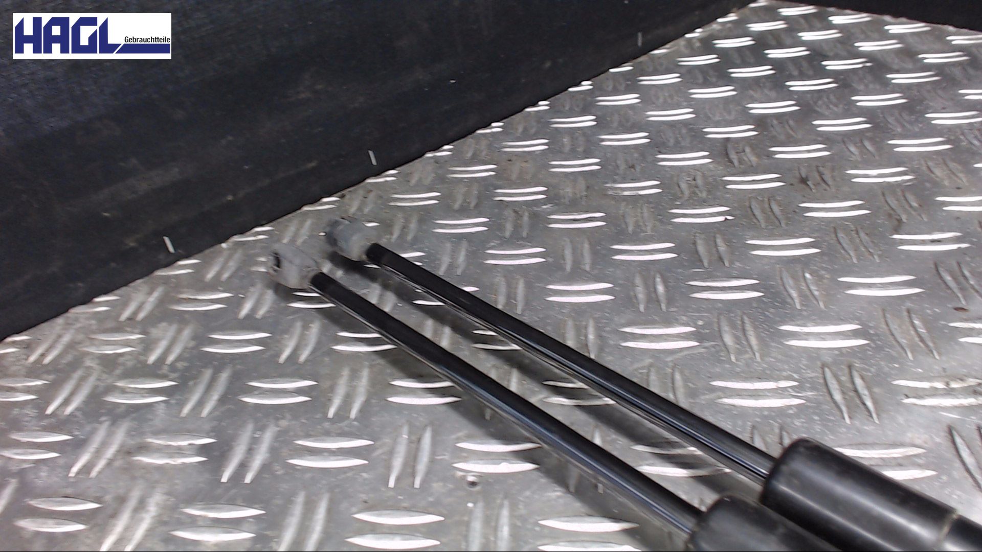 GASDRUCKDÄMPFER L+R