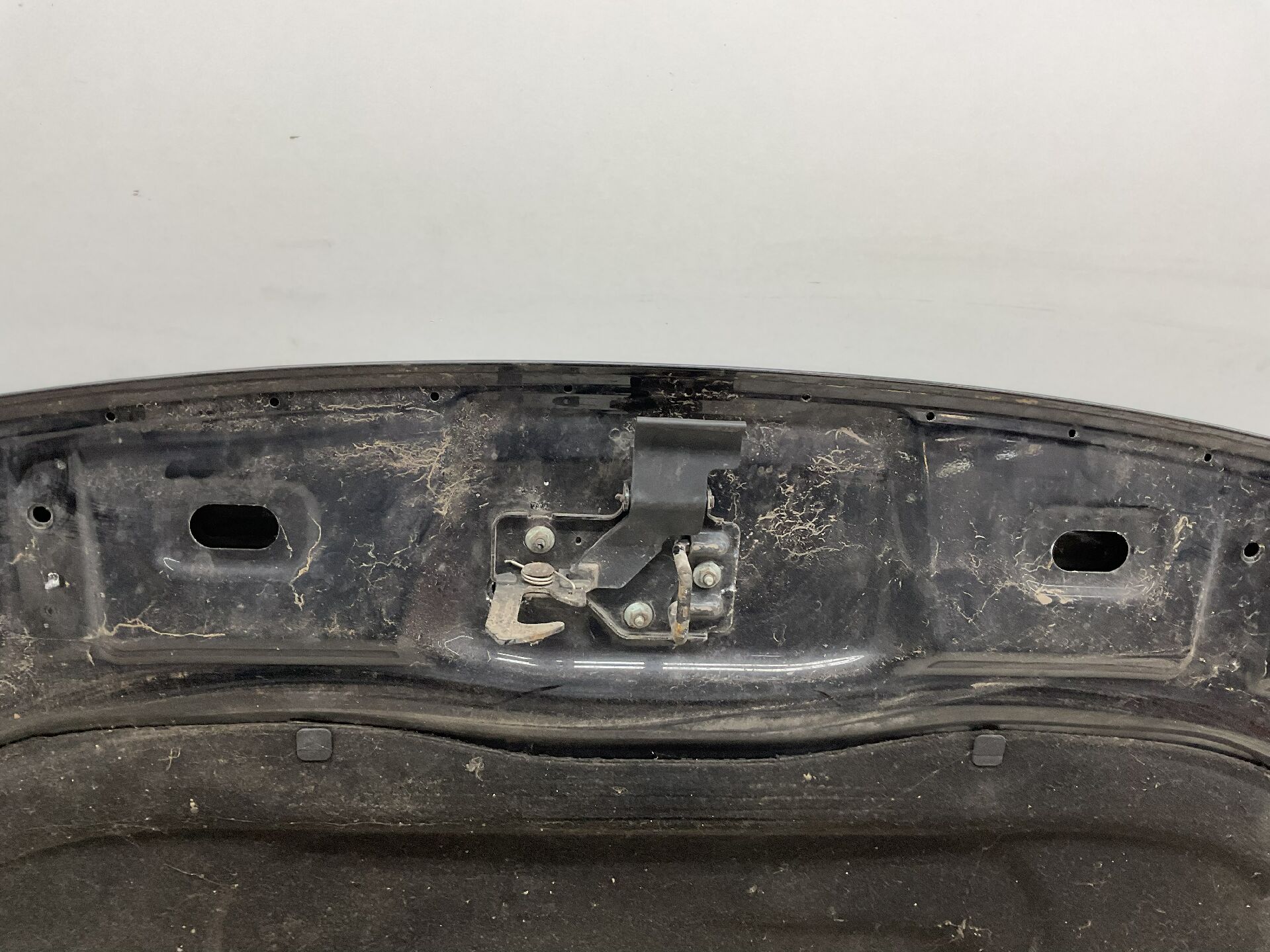 MOTORHAUBE