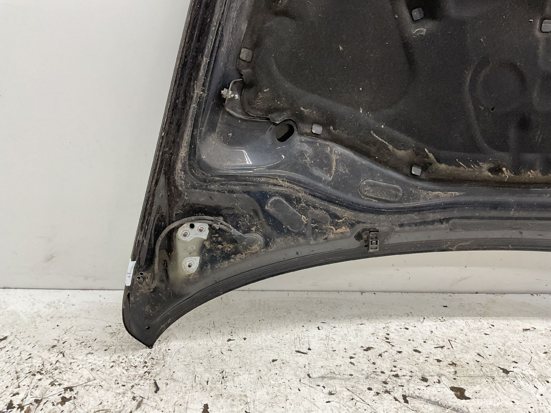 MOTORHAUBE