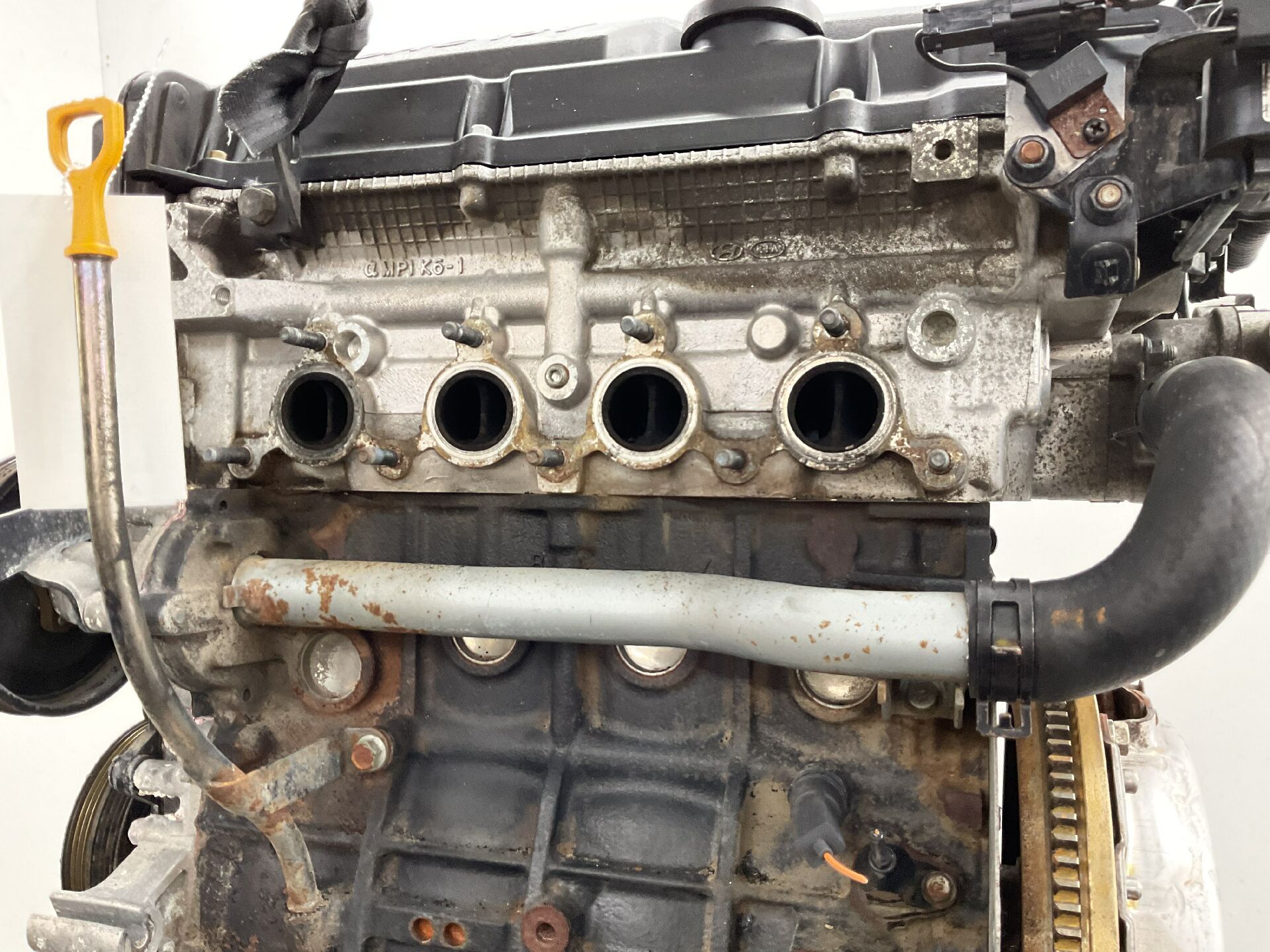 Motor