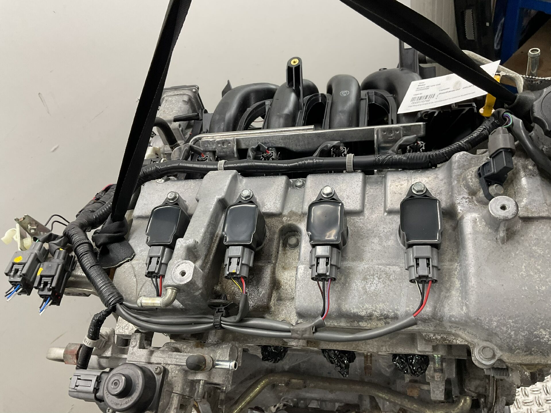 Motor