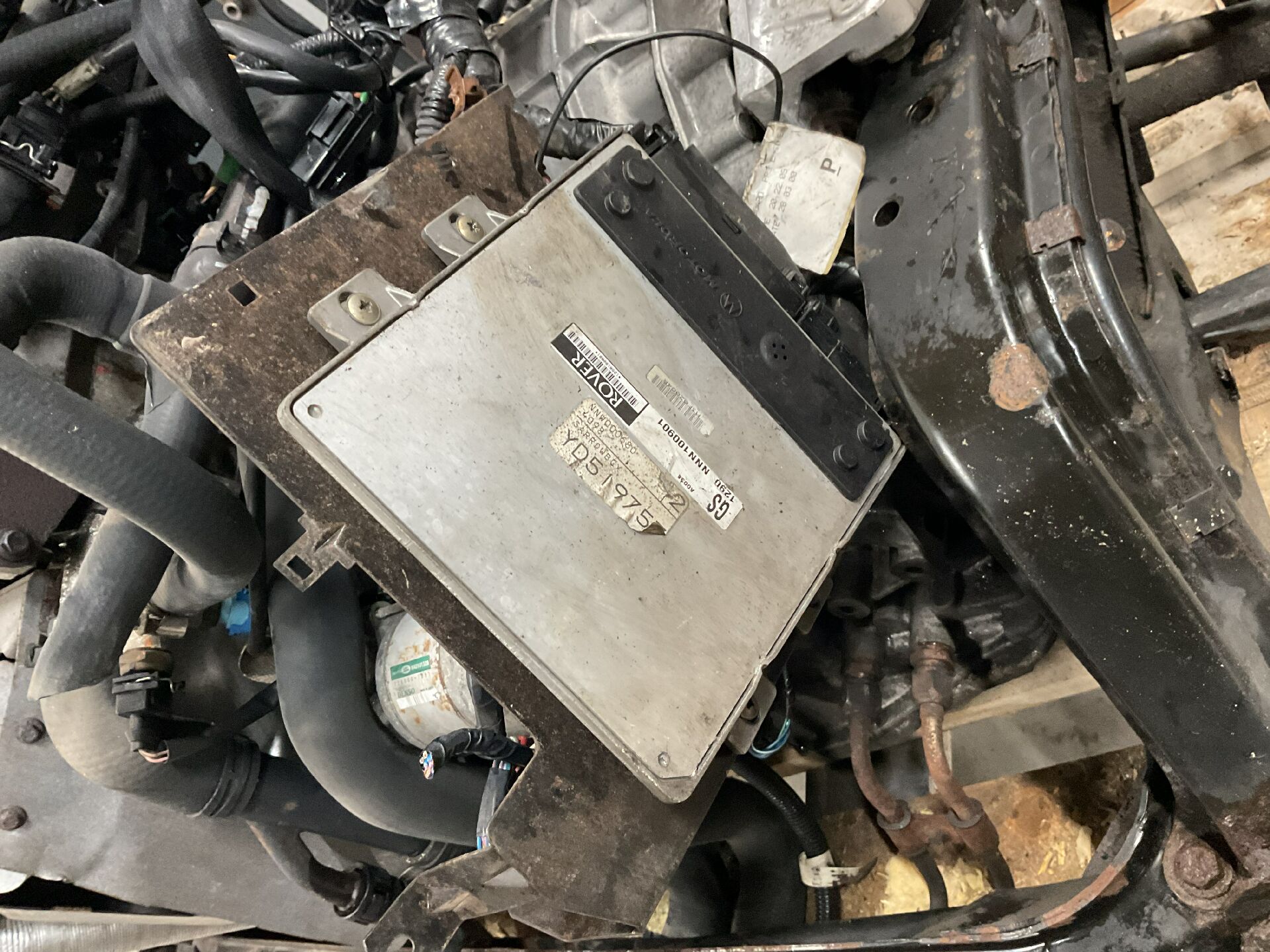 Motor