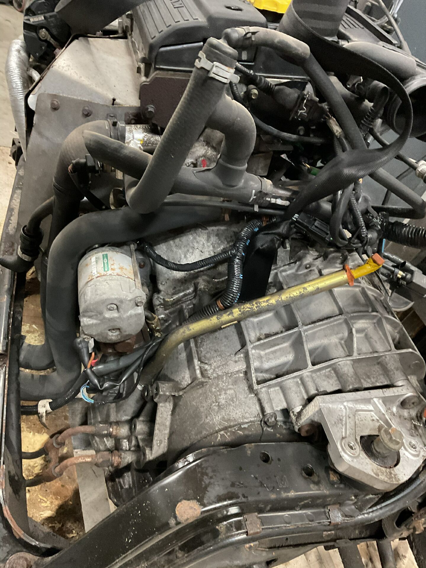 Motor