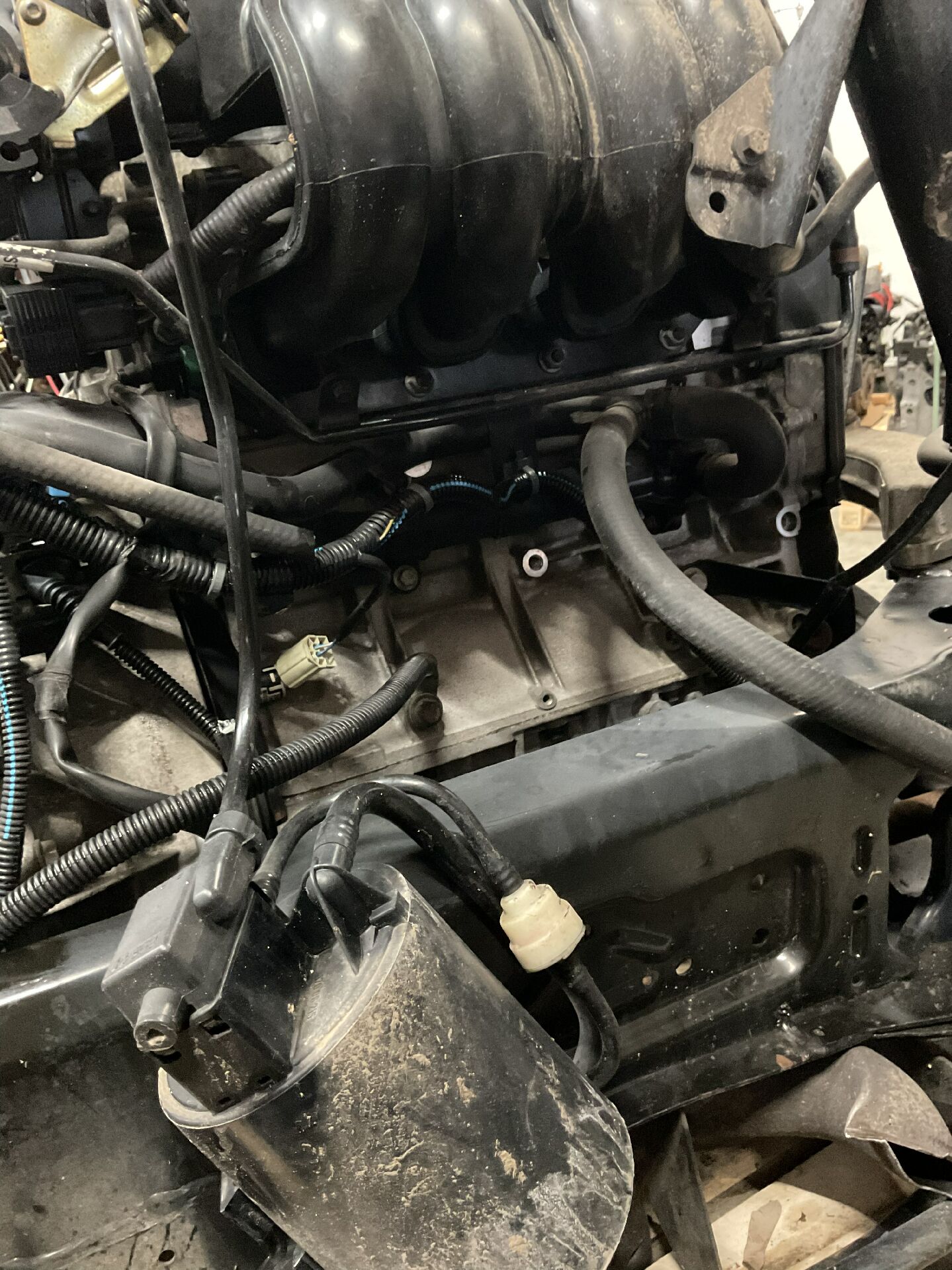 Motor