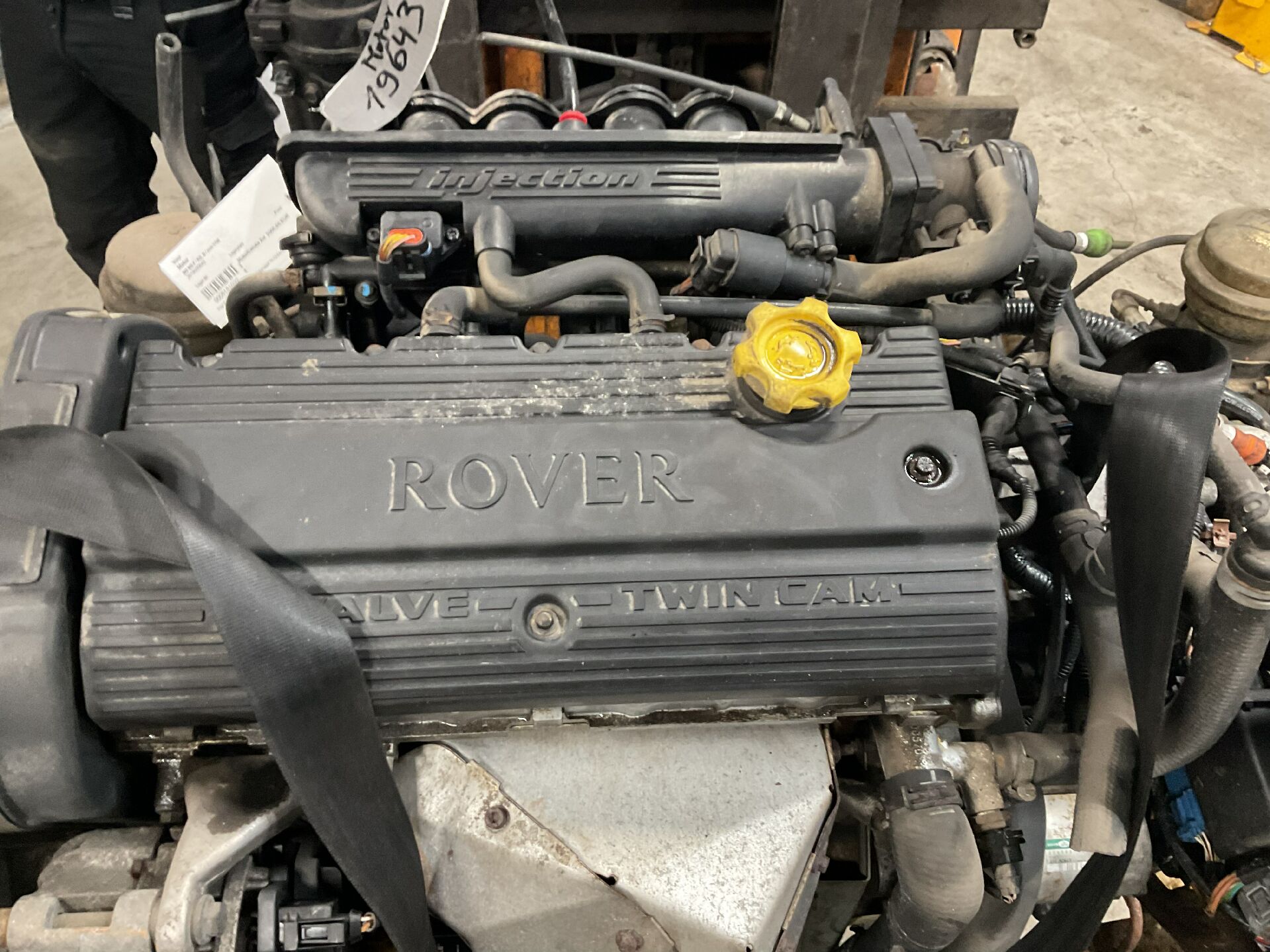 Motor