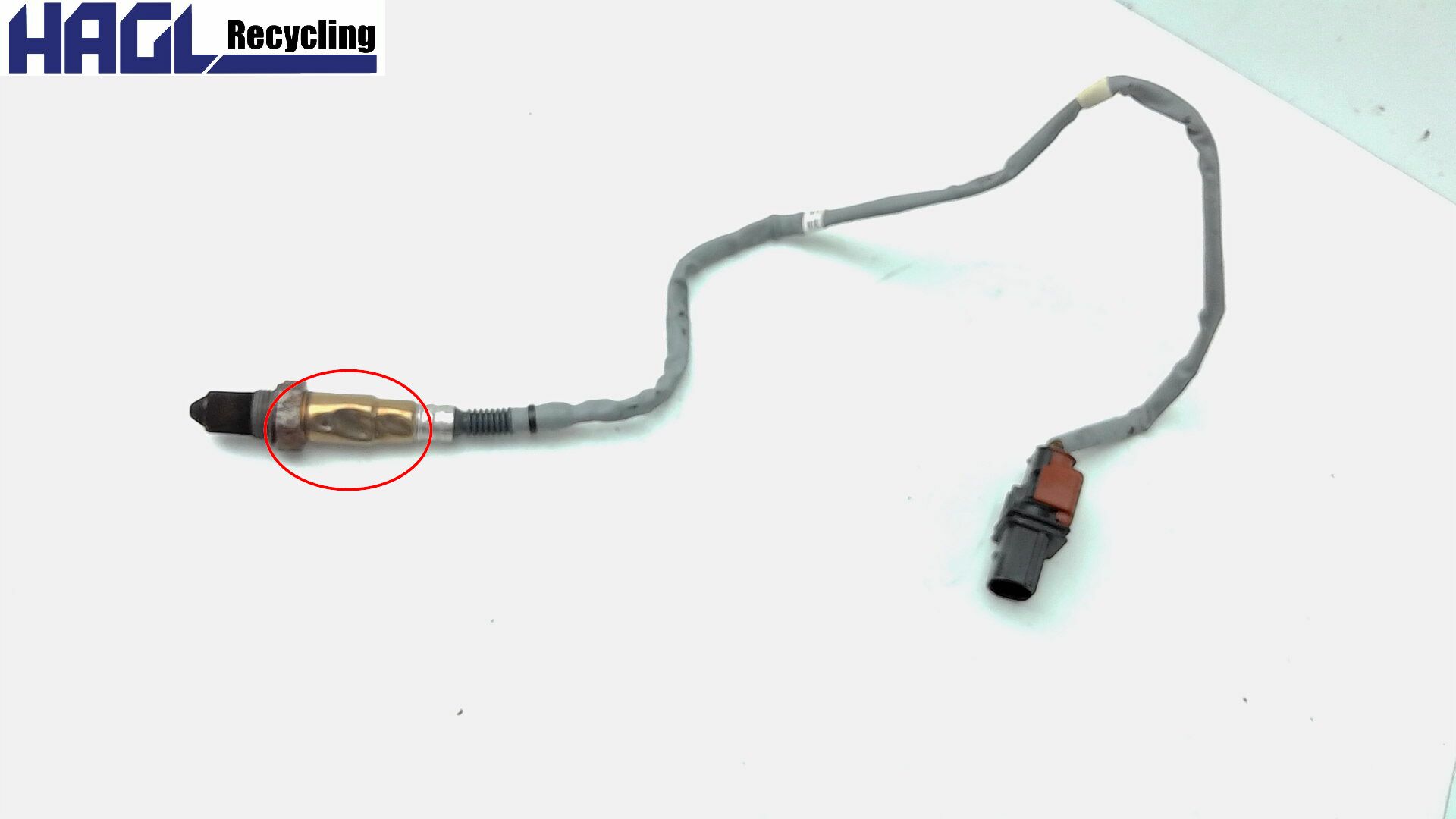 Sonde lambda