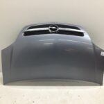 Opel Meriva Meriva X01 MOTORHAUBE Kombi