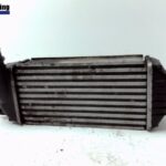 Fiat Scudo Scudo 272 Ladeluftkühler Kasten